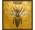 Bees Gallery icon