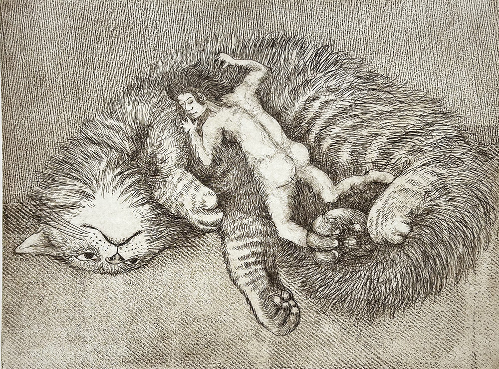 Cat lady Dreams